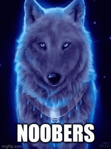 Noobers GIF - Noobers GIFs
