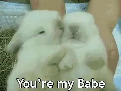 I Love You Youre My Babe GIF - I Love You Youre My Babe Cuddle GIFs