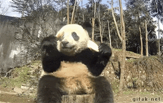 a panda bear is sitting on a tree stump in the woods .