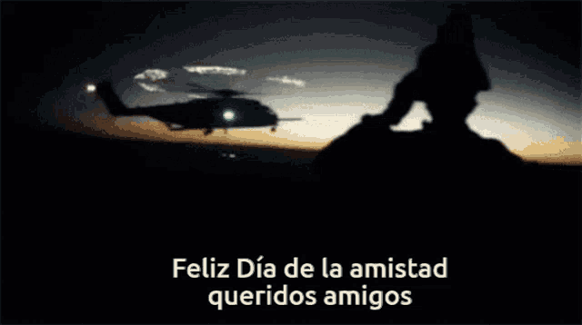 feliz dia de la amistad queridos amigos written on a black background