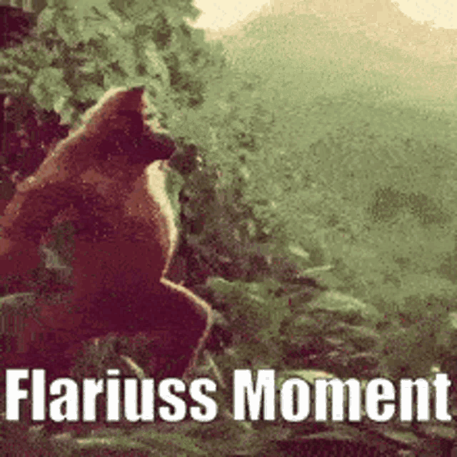 Flariuss Monkey GIF - Flariuss Monkey GIFs