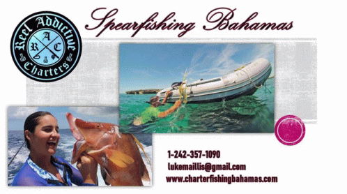Spearfishing Bahamas Fishing Charters Bahamas GIF - Spearfishing Bahamas Fishing Charters Bahamas Spearfishing Charters Bahamas GIFs