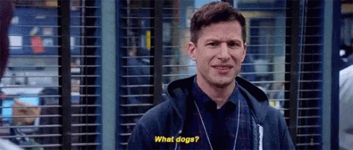 Dogs Peralta GIF - Dogs Dog Peralta GIFs