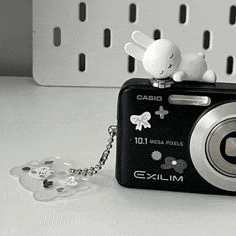 a black casio camera with a white bunny on top of it .