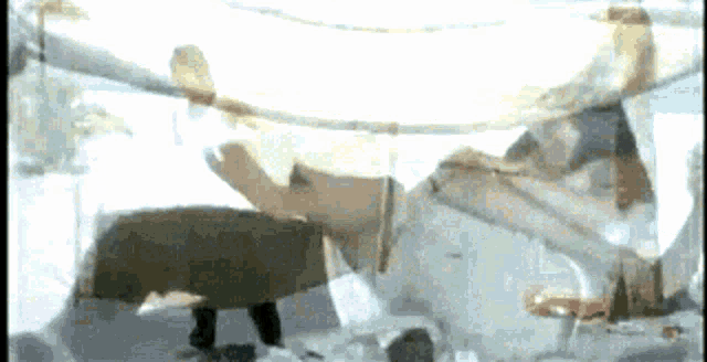 a blurred image of a person laying on a table with a glass of wine