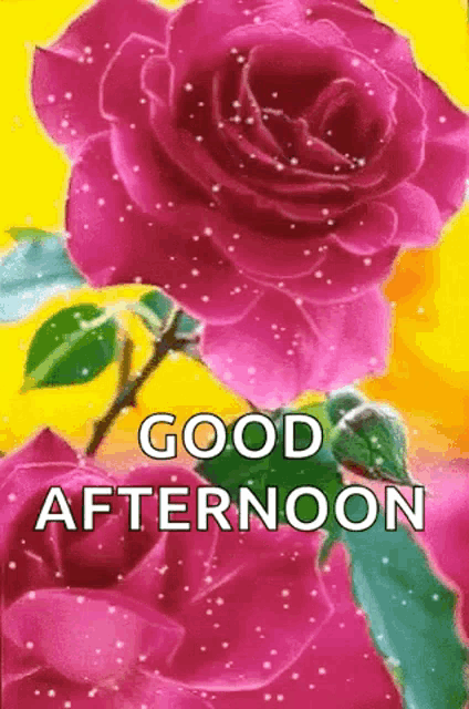 a good afternoon greeting card with pink roses and a hummingbird