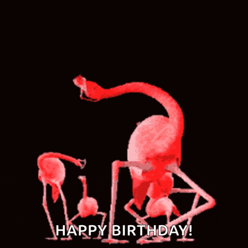 a group of flamingos standing next to each other with the words happy birthday