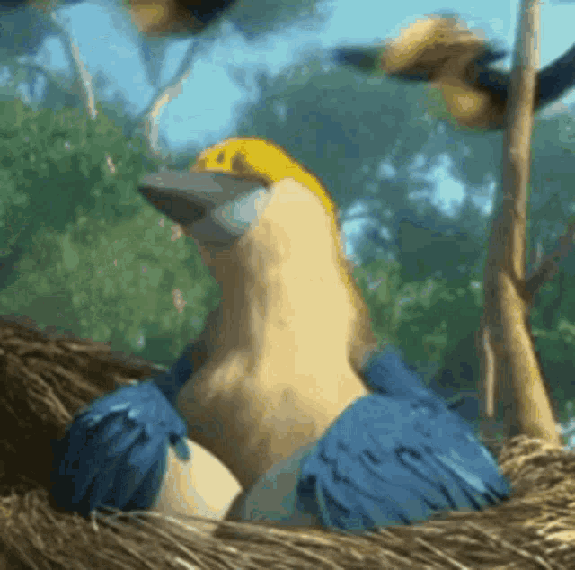a yellow and blue bird is sitting in a nest surrounded by trees
