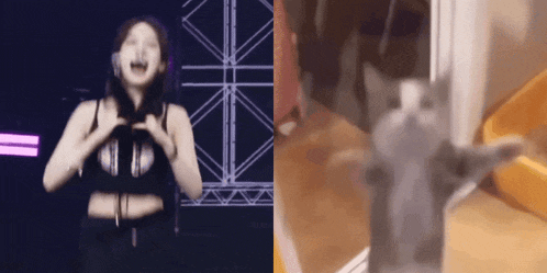 a blurred image of a woman dancing next to a blurred image of a man