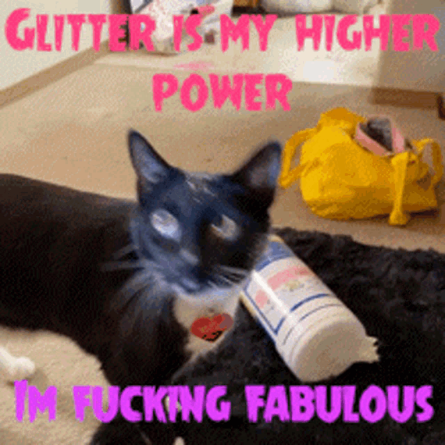 a cat laying on the floor next to a bottle that says glitter is my higher power i m fucking fabulous