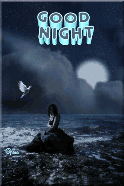 a picture of a woman sitting on a rock in the ocean with the words good night
