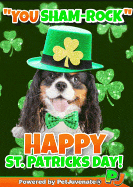a picture of a dog wearing a shamrock hat and a bow tie