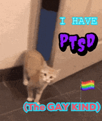 a picture of a cat with the words " i have ptsd the gay kind "