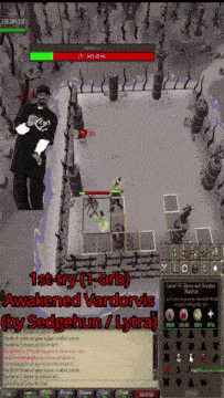 a screenshot of a video game with the words " 1st try ( 1 - orb ) awakened vardorvis " on the bottom