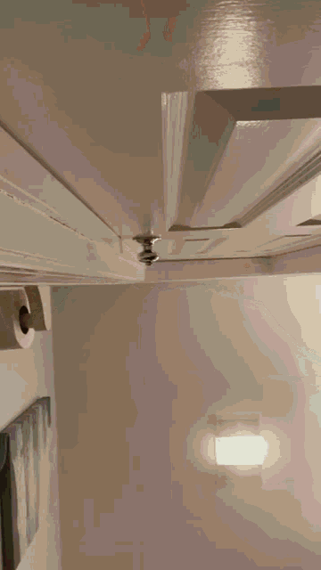 Cat Door GIF - Cat Door Surprise GIFs