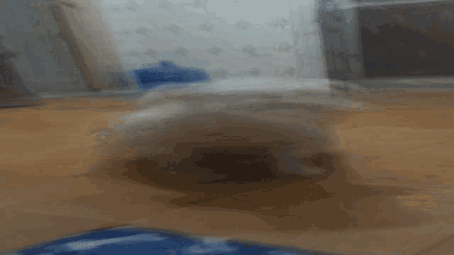 a blurred image of a cat laying on a wooden floor
