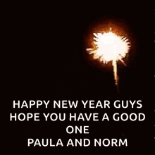 a picture of fireworks with a message that says happy new year guys hope you have a good one paula and norm