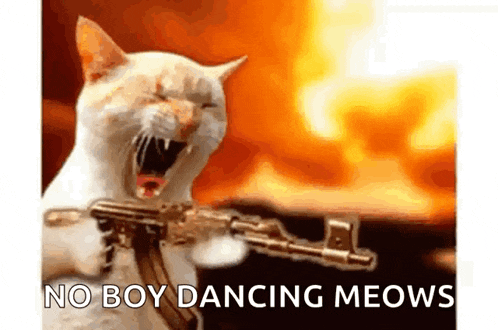 a cat is holding a gun in front of a fire and screaming .