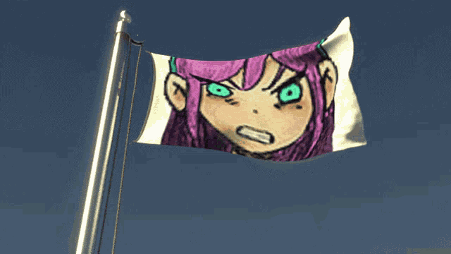 a flag with a picture of a girl with pink hair and green eyes
