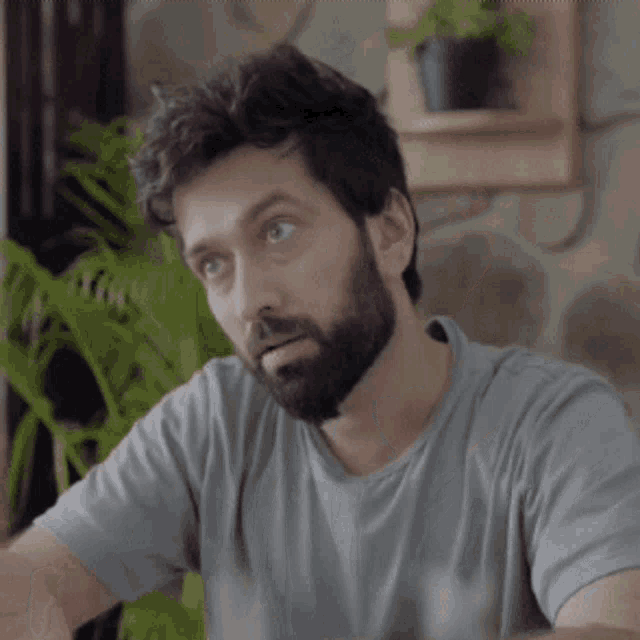 a man with a beard wearing a grey t-shirt