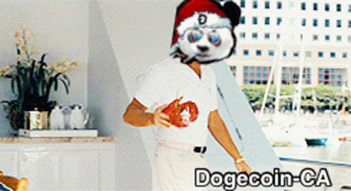 Topher Dogecoin Ca GIF - Topher Dogecoin Ca GIFs