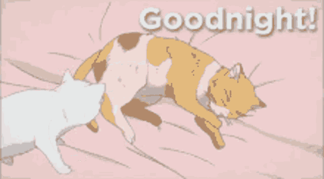two cats are laying on a bed with the words goodnight written on the bottom