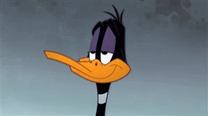 Looney Tunes Daffy GIF - Looney Tunes Daffy Wat GIFs