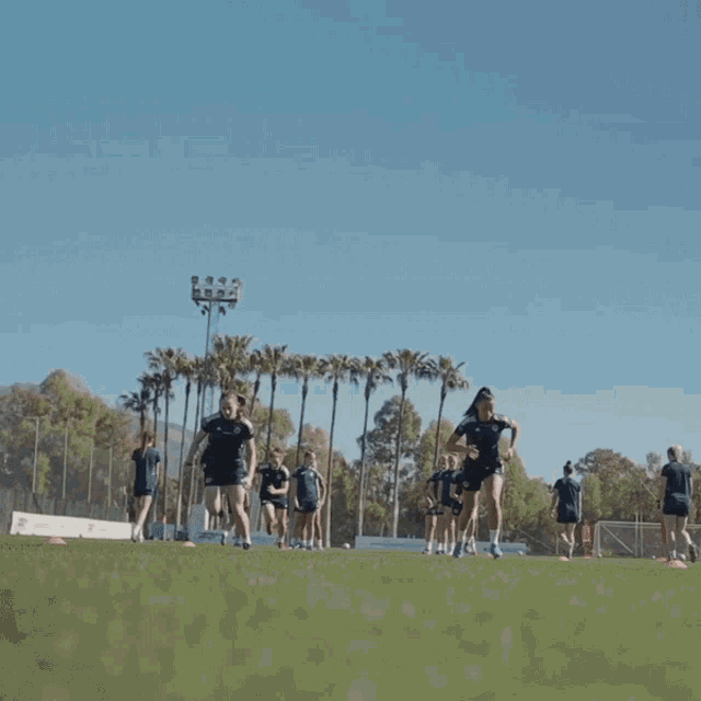 a group of female soccer players are running on the field