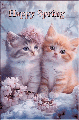 a picture of two kittens with the words happy spring