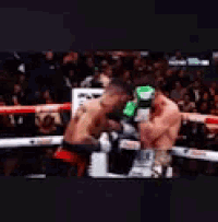 two men are fighting in a boxing ring with a crowd in the background