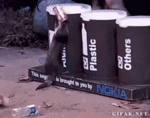 Otters Being Good Citizens GIF - Trash Otters Cute GIFs