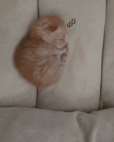a kitten is sleeping on a white blanket with a zzz sticker on it
