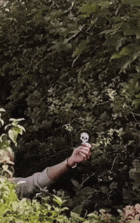 a person is blowing soap bubbles with a skull on them