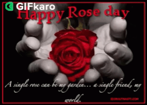 Happy Rose Day Gifkaro GIF - Happy Rose Day Gifkaro A Day Of Giving Roses GIFs