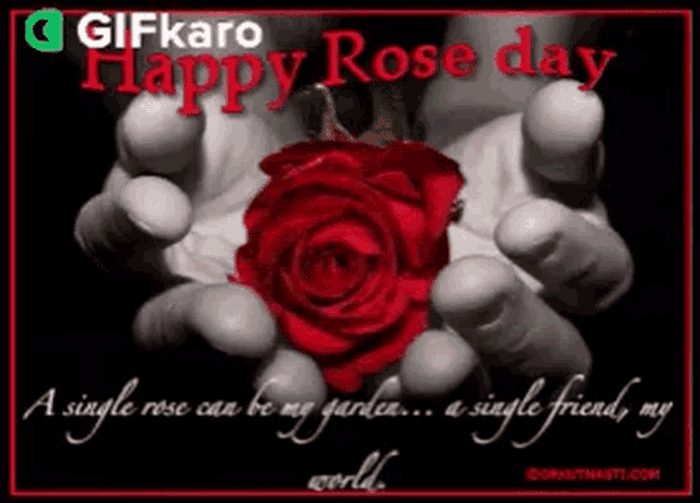 a single rose can be my garden ... a single friend my world ..