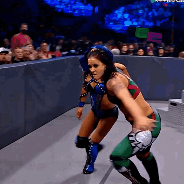 two women wrestling in a ring with the hashtag #thenextbig thing on the bottom right