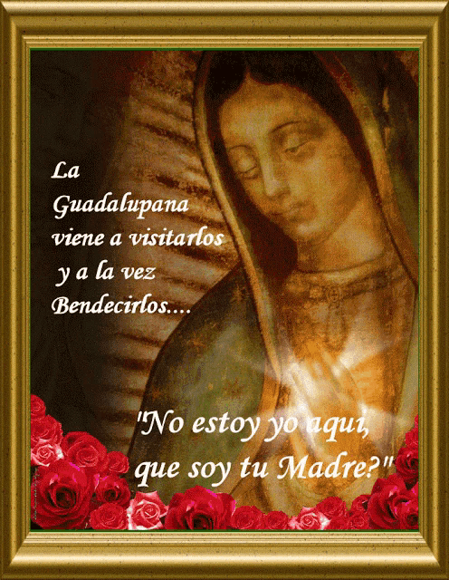 a framed picture of a woman with the words " la guadalupana viene a visitarlos y a la vez bendecirlos "