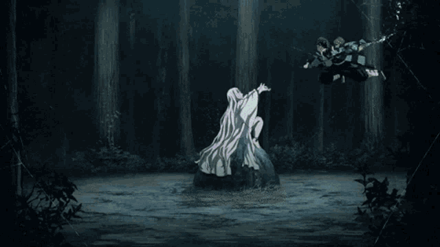 a man in a white cape is fighting another man in a black cape in a forest