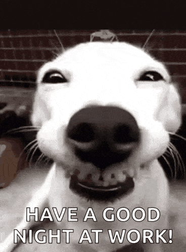 a white dog is smiling and says `` have a good night at work ! ''