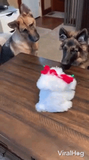 Dogs Viralhog GIF - Dogs Viralhog Dogs Mesmerized By Mechanical Puppy GIFs