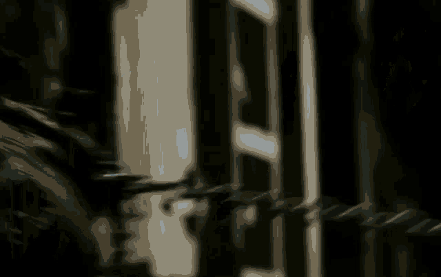 a blurry picture of a person walking through a dark room