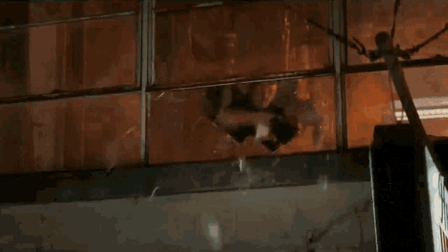 a person is holding a gun in front of a window with a flame coming out of it .