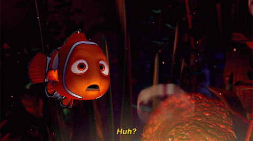 Finding Nemo Huh GIF - Finding Nemo Huh What GIFs