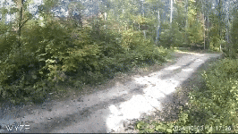 a video of a dirt road in the woods was taken on october 3rd