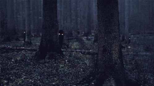 a dark forest with trees and leaves and a person with glowing eyes