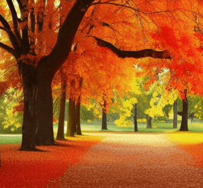 a path in a park with trees covered in leaves