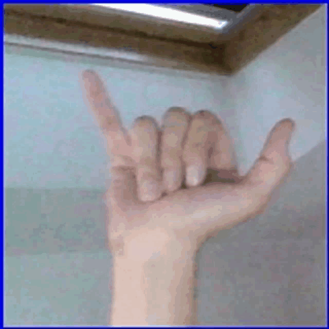 a person 's hand is making a devil horns sign