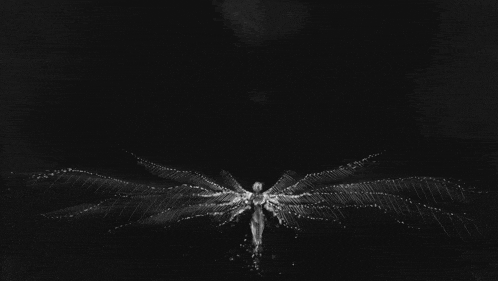 a black and white drawing of a person with wings on a black background