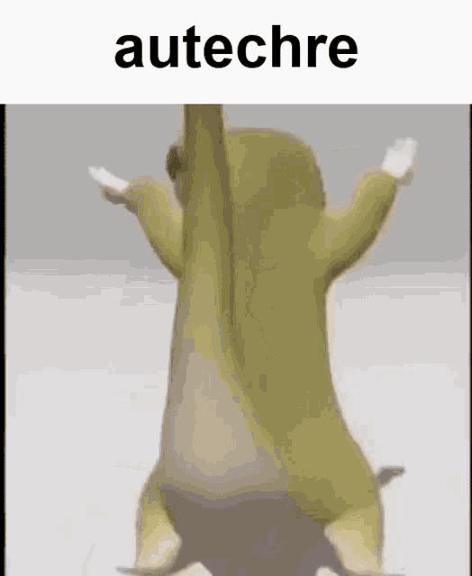 a cartoon sloth is standing on its hind legs with its arms outstretched and a caption that says autechre .