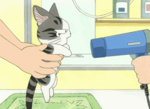 a cartoon cat is being blow dried by a person